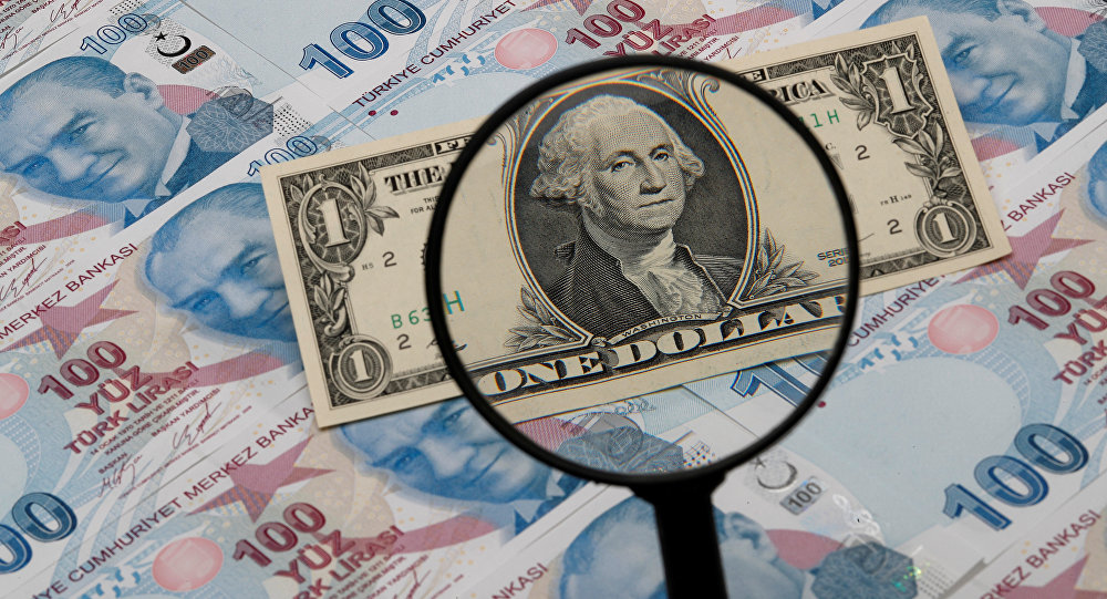 Турция намерена отказаться от доллара во внешнеторговых расчётах