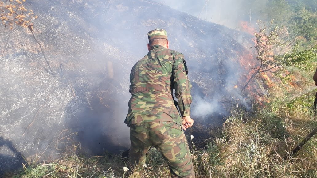 Полиция Алматы устанавливает личность и причину смерти человека при пожаре на Кок-Тобе