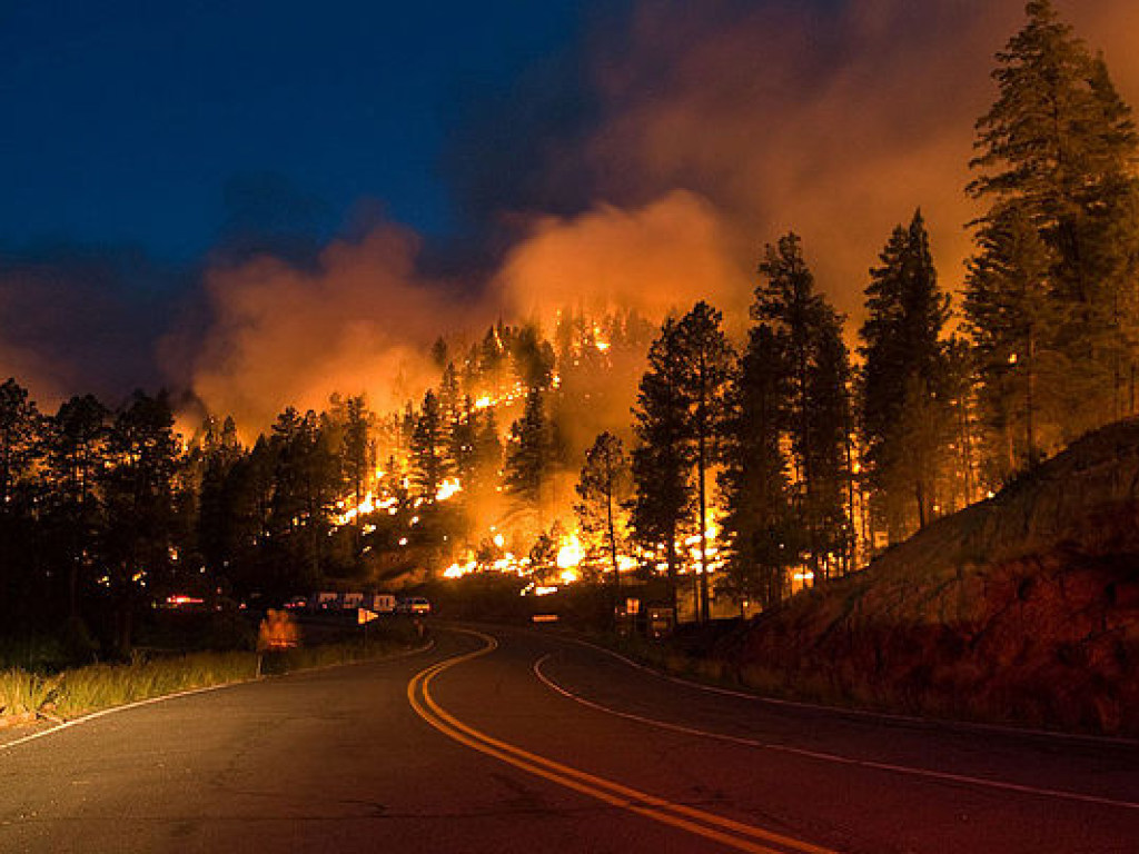 Около 8000 человек эвакуируют в американском штате Калифорния из-за лесного пожара