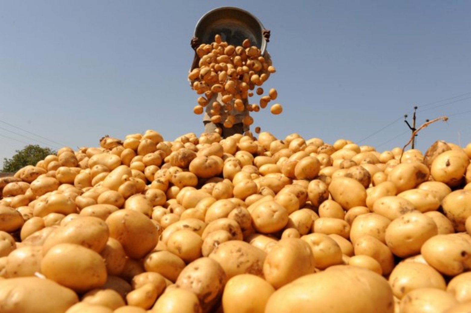 Казахстан заявил о неправомерности возврата Россией картофеля и дынь из-за отсутствия производителей в списке экспортёров