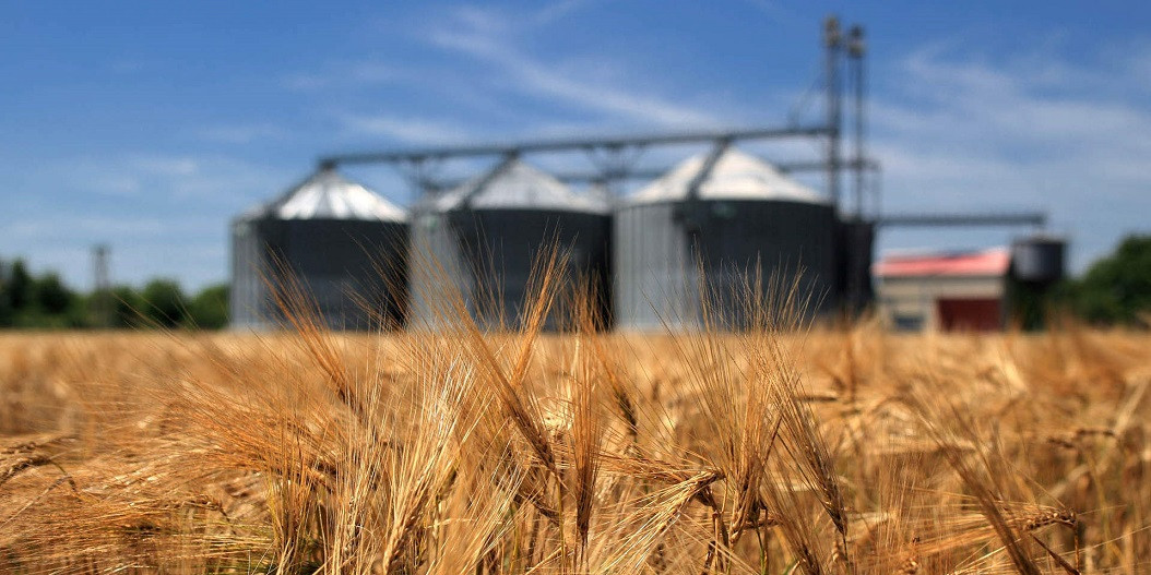 В СКО аграрии не могут вывезти своё зерно с элеваторов