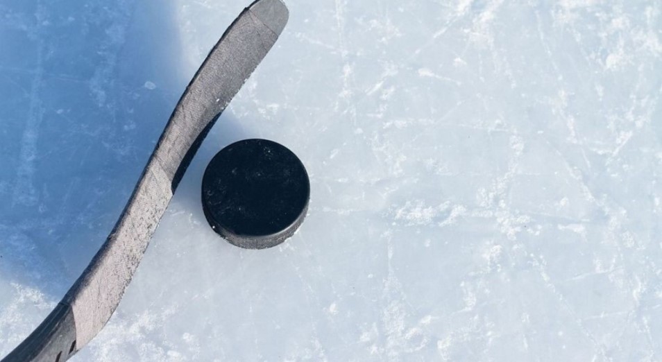 Виртуальный ЧМ по хоккею: Казахстан – последний