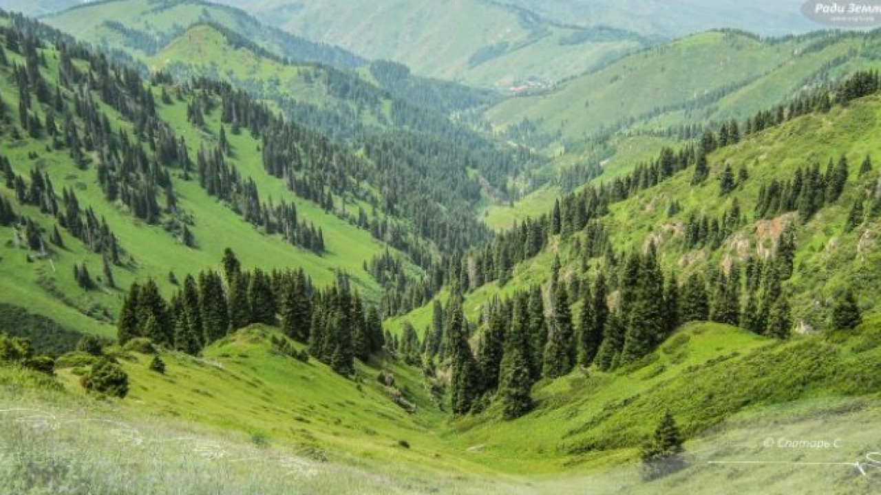 "Эко-Сергеки" будут установлены в национальных парках близ Алматы