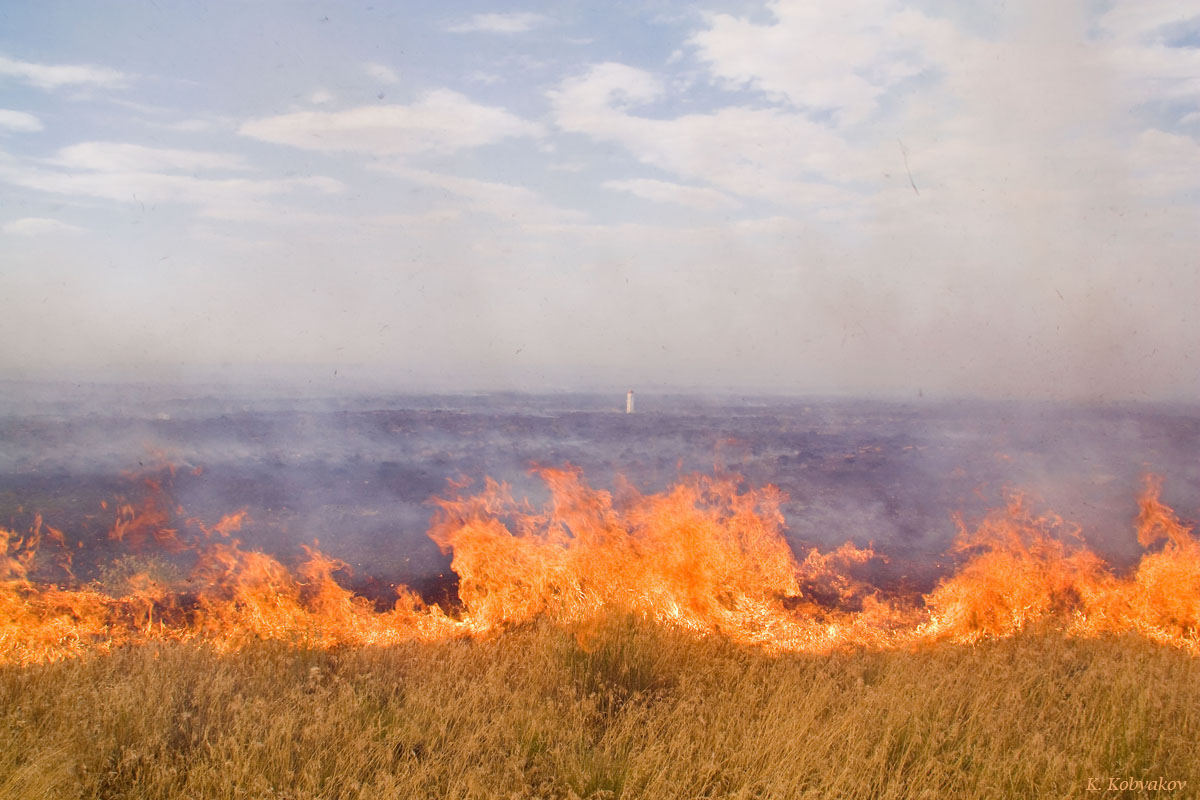 В Казахстане зарегистрировали рекордное количество пожаров