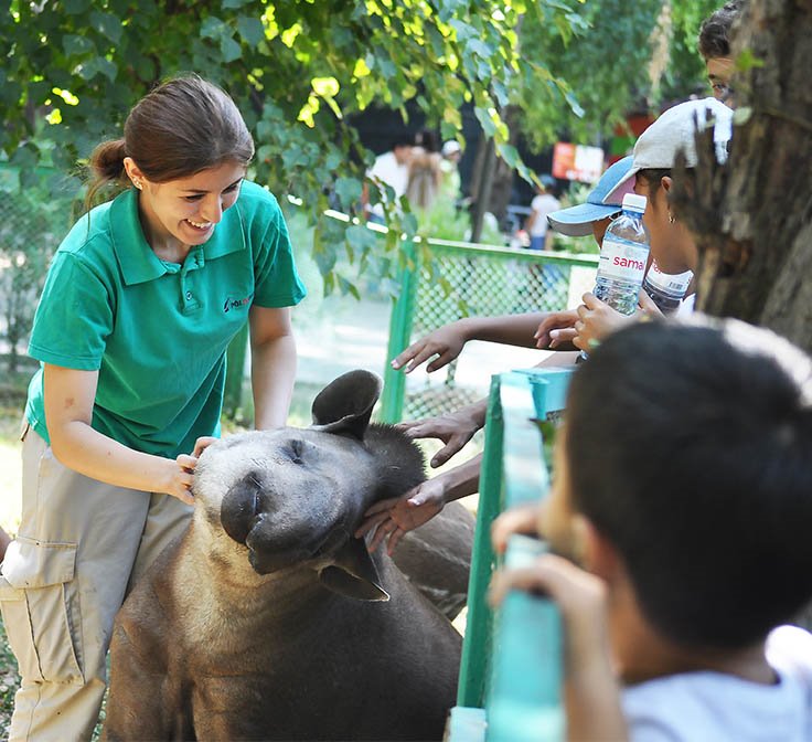 Алматинский зоопарк объявил краудфандинг для строительства новой ветклиники 