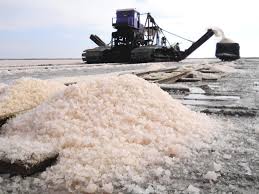 Добывать поваренную соль начнут в районе Тереңкөл Павлодарской области