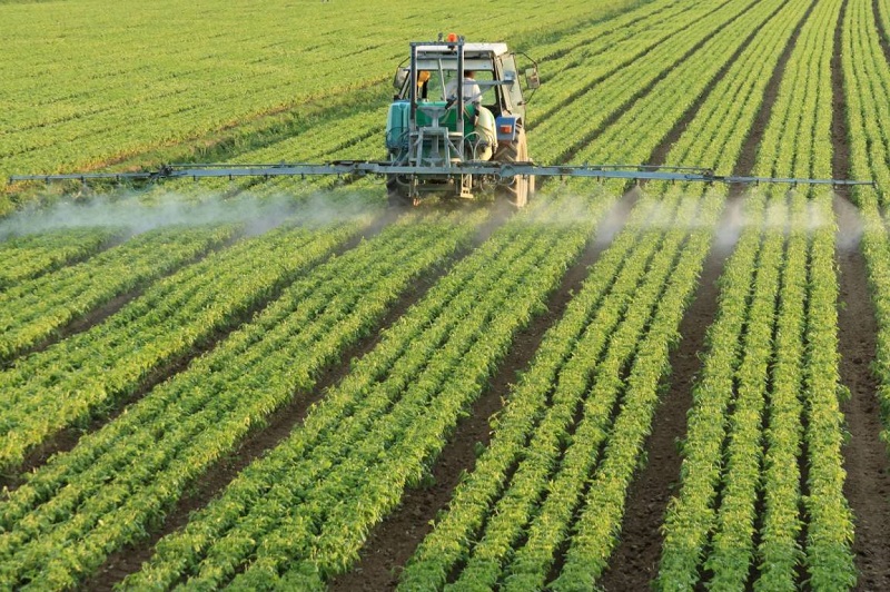 В Казахстане обработано пестицидами 75% полей  