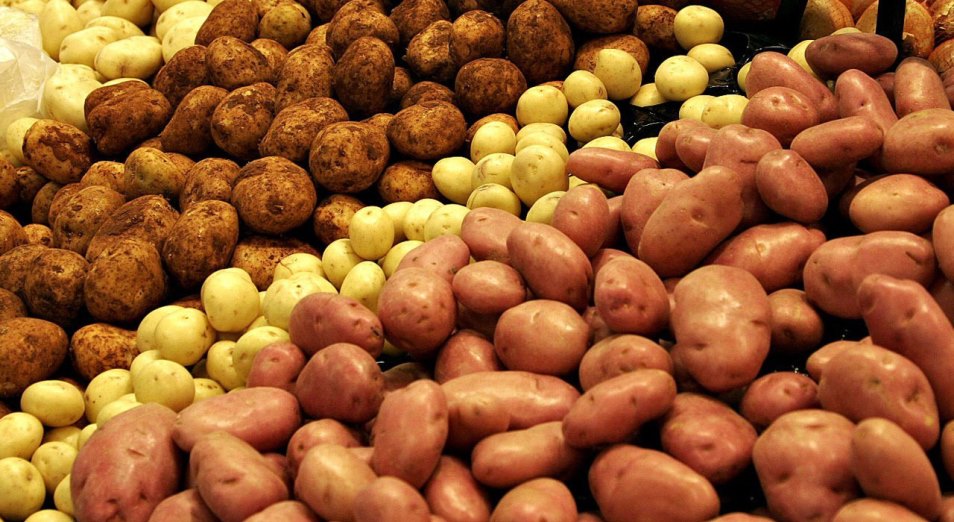Сколько реально стоит картофель в Казахстане? 