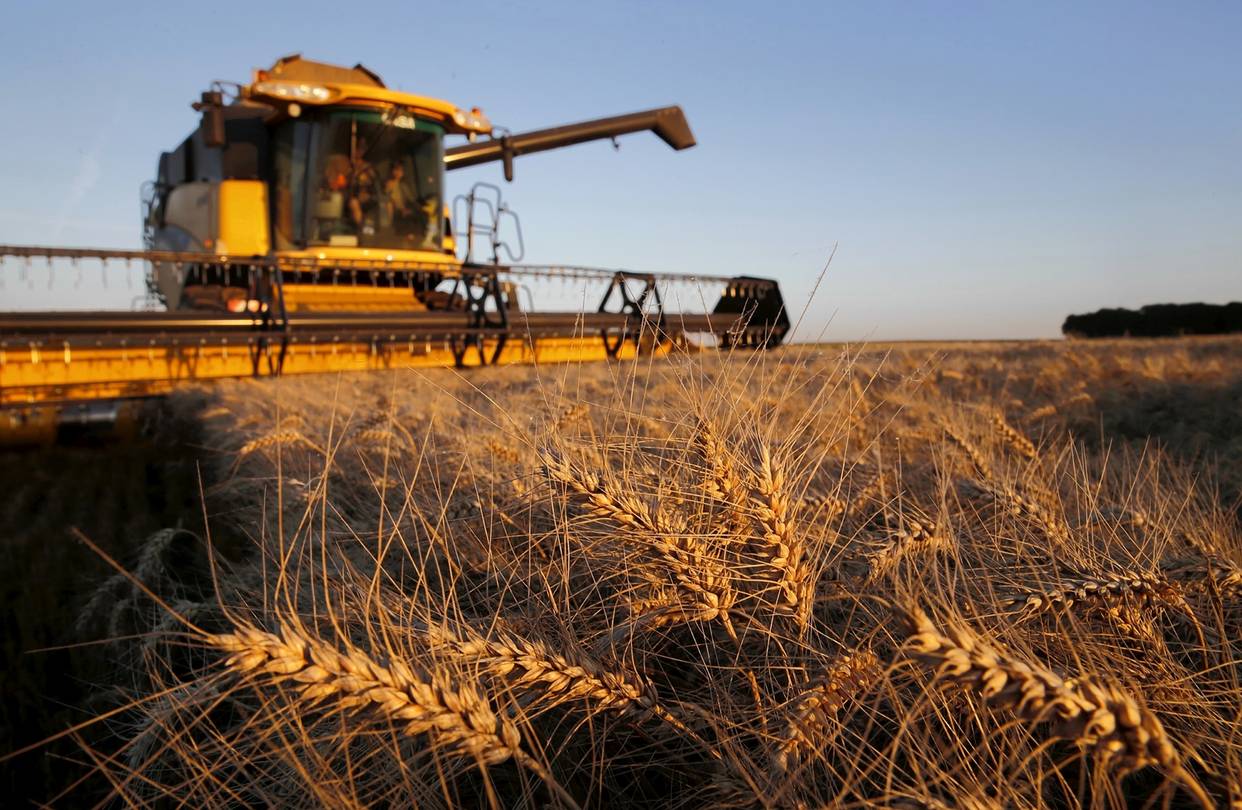 Минсельхоз РК понизил прогноз сбора зерновых до 17 млн тонн в 2019 году