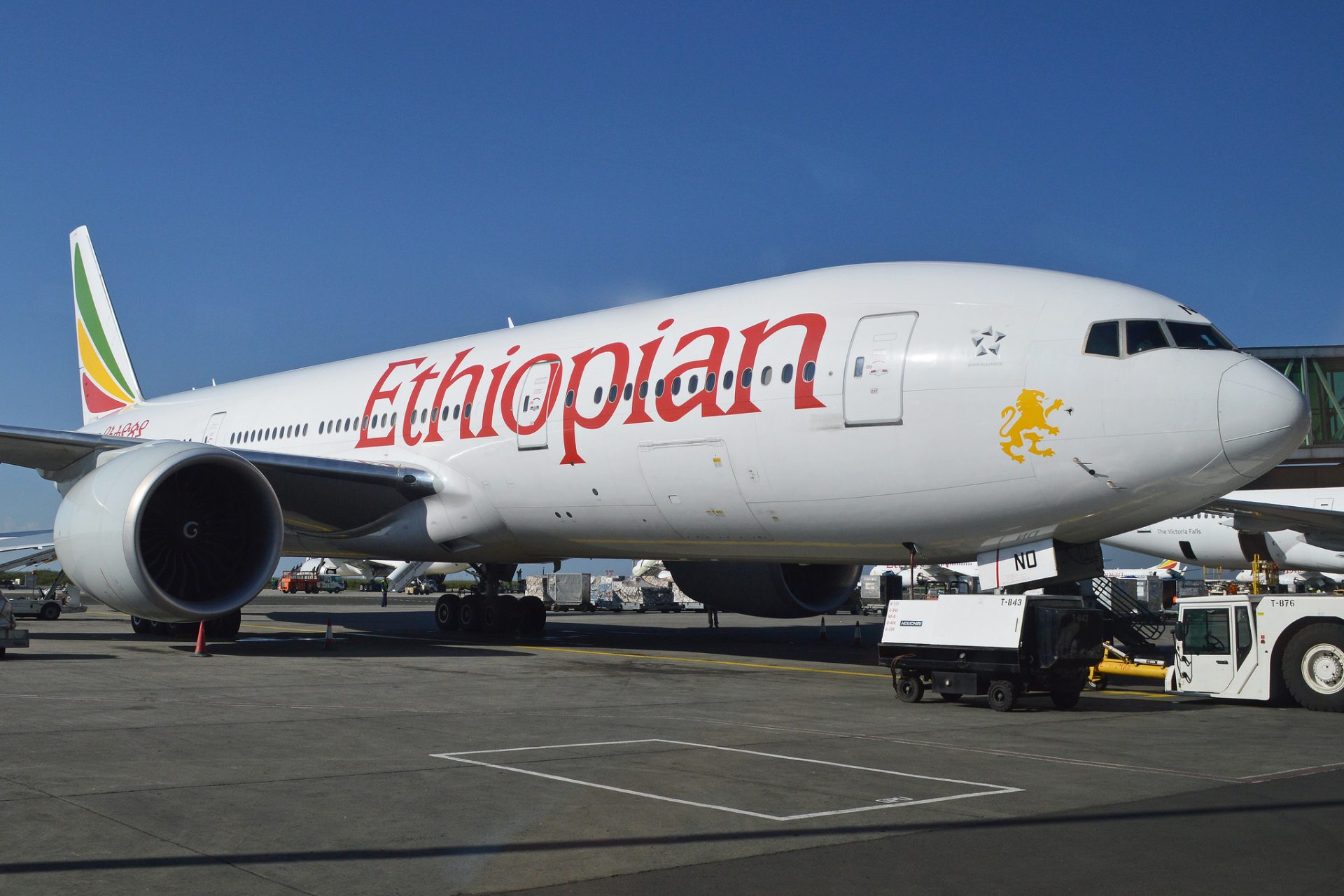 Казахстанцев нет среди погибших при крушении самолета в Эфиопии