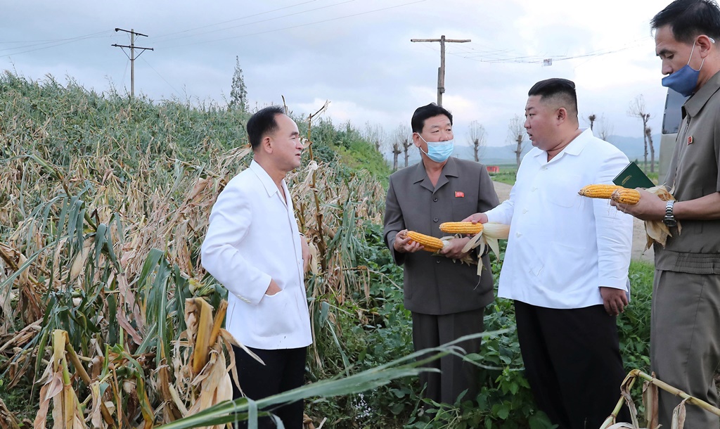 Лидер КНДР посетил пострадавшие от тайфуна районы и сменил руководство