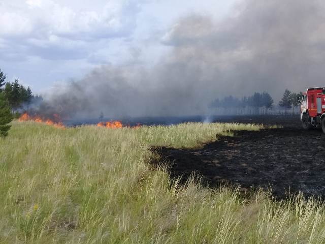В природном резервате «Ертіс орманы» произошел пожар 