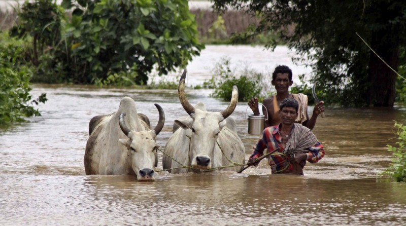В Индии растёт число жертв наводнений