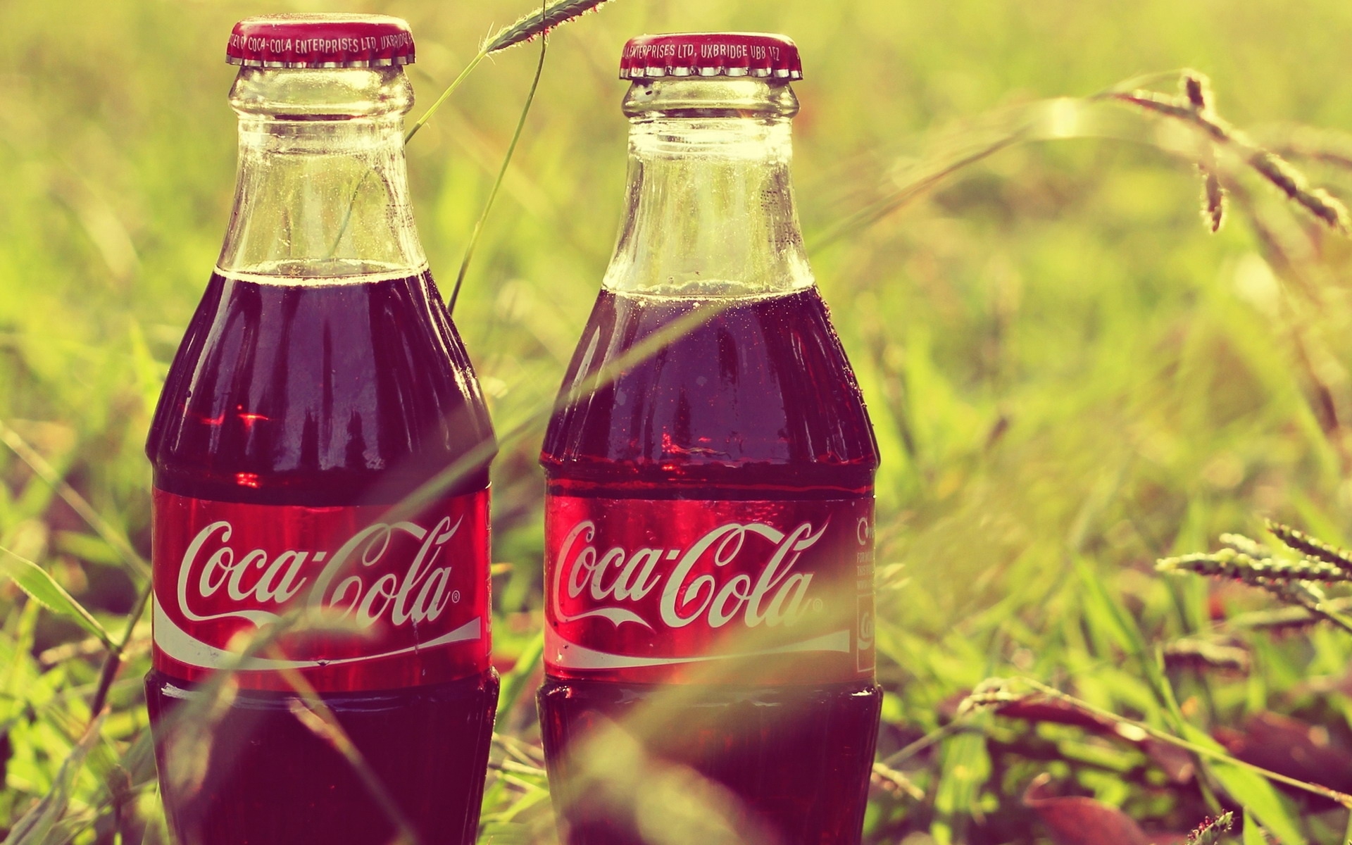 Coca-Cola может выйти на рынок напитков со вкусом каннабиса