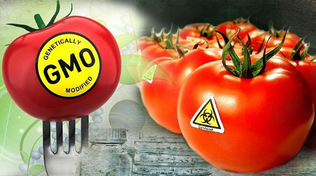 В ЕАЭС вводятся новые требования к маркировке продуктов с ГМО