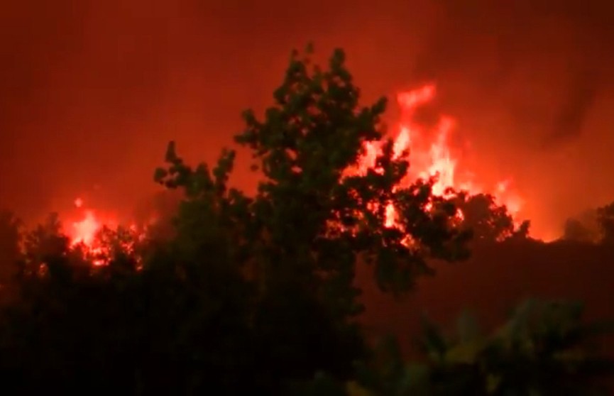 В США лесные пожары унесли жизни 25 человек