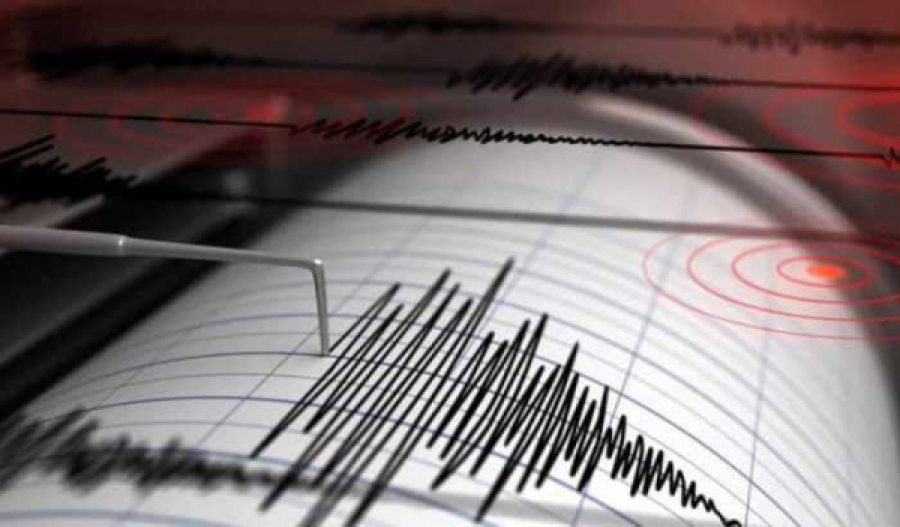 Землетрясение магнитудой 5,3 балла произошло в 800 км от Алматы