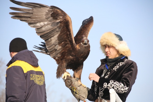 Второй открытый чемпионат Азии по охоте с ловчими птицами прошел в Алматы  