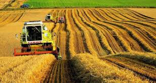 Единый сельскохозяйственный налог просят ввести казахстанские аграрии