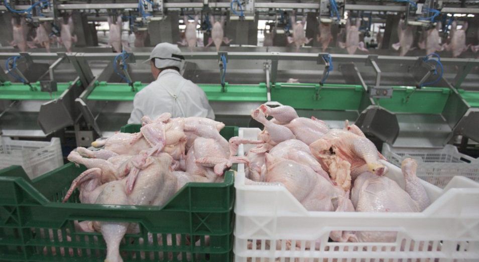 Поставки птичьего мяса из РФ могут вырасти до 3,5 тыс. тонн в месяц
