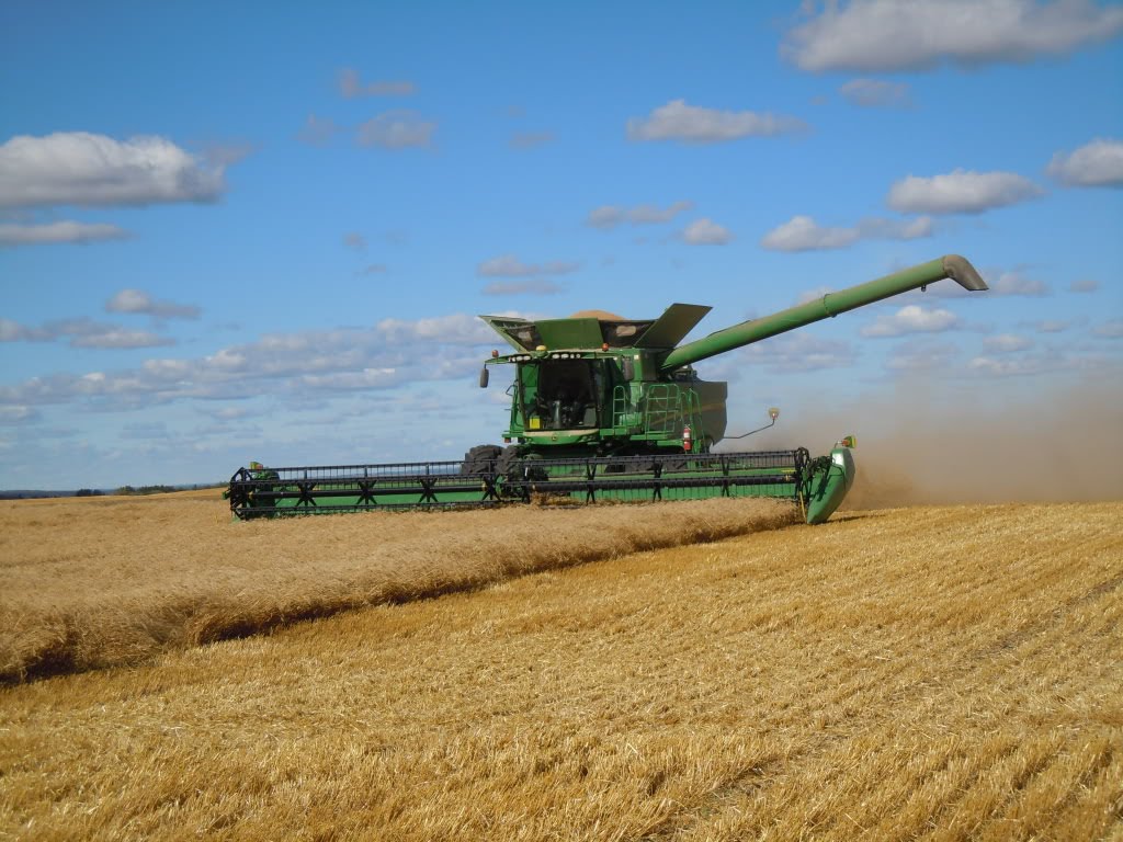 Более половины площадей зерновых убрано в ВКО