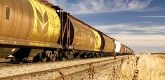 Карагандинские мукомолы жалуются на проблемы с вывозом продукции по железной дороге