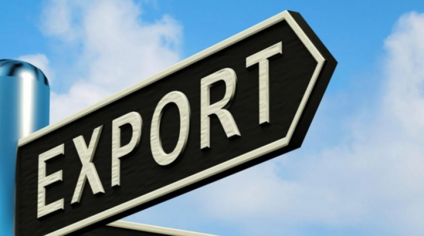 В 2019 году ожидается увеличение объема сервисной поддержки экспортеров в 5 раз 