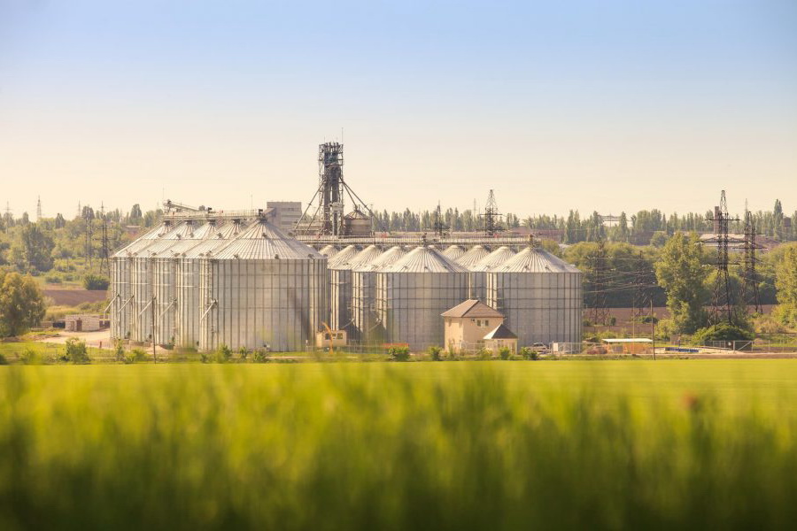 На ETS реализовано более 9000 тонн пшеницы