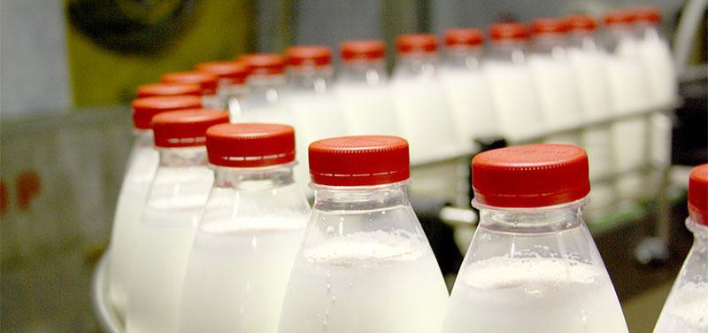 Производители РК могут потерять 157 млн тенге из-за перехода на новую маркировку молочной продукции   