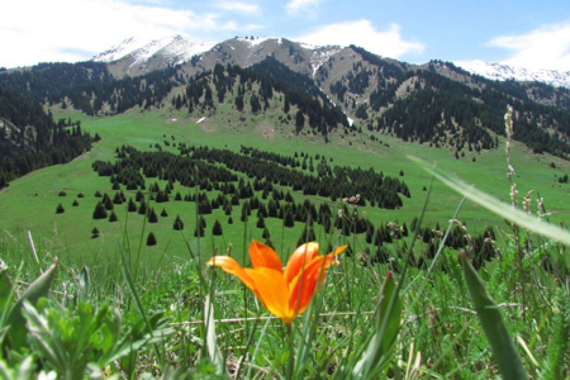 В казахстанских национальных природных парках планируют применять американскую модель экотуризма