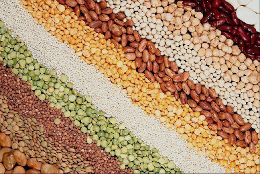 Продкорпорация откроет финансирование аграриям на приобретение семян у НАНОЦ