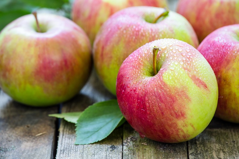 В Казахстане планируют сделать ставку на крупные яблоневые хозяйства  