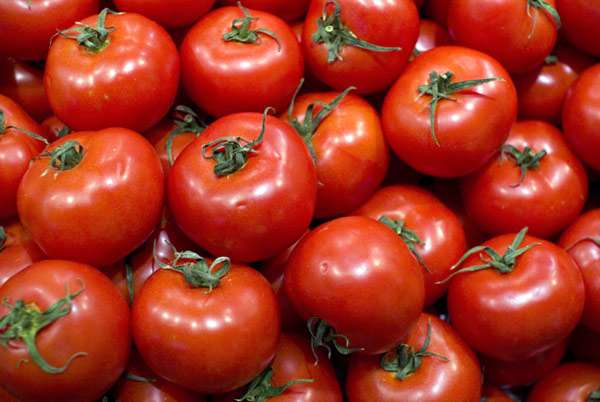 Казахстан временно запретил ввоз томатов из Азербайджана
