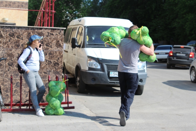 10 тонн капусты из Туркестанской области раздали волонтерам в Павлодаре