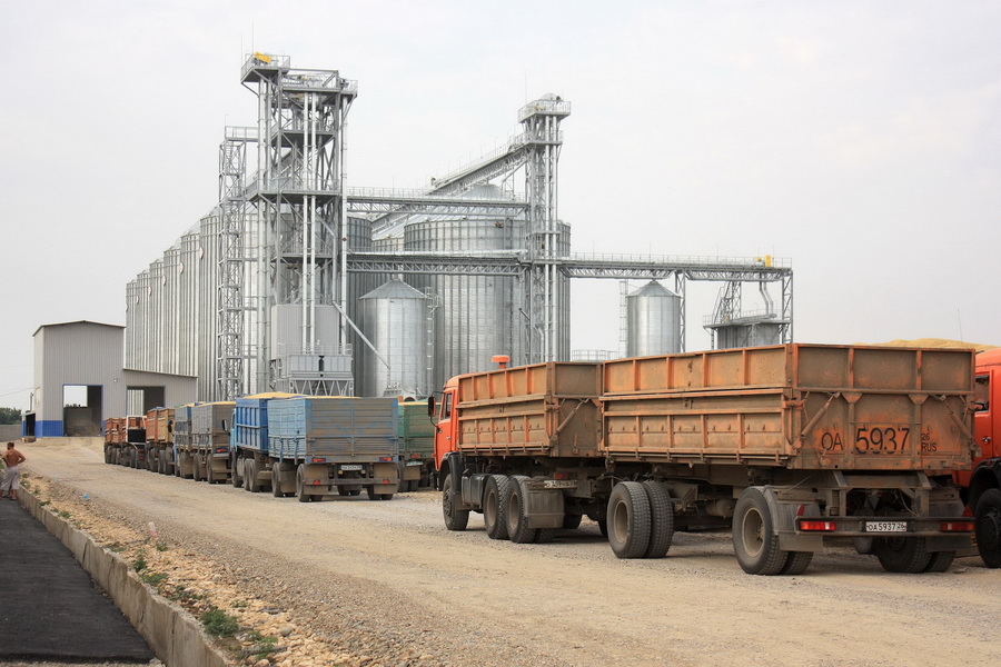 Самые высокие резервы зерна – в Акмолинской области   