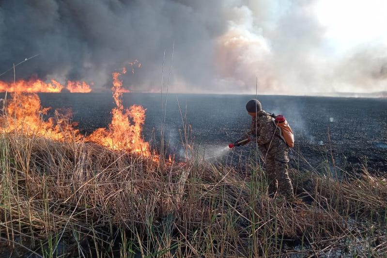 Неделю тушат пожар в природном резервате "Алтын дала" в Костанайской области  