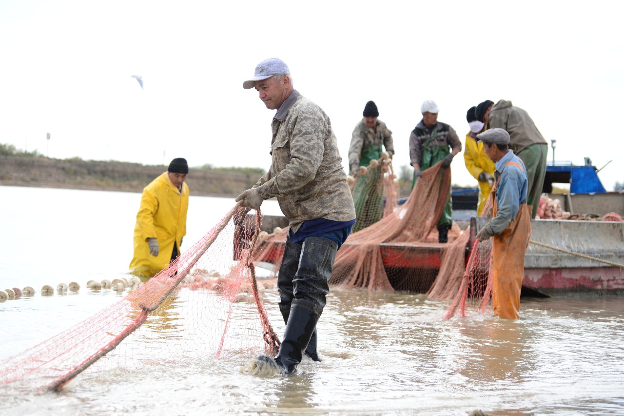 В Атырауской области на 800 тонн увеличилась добыча рыбы