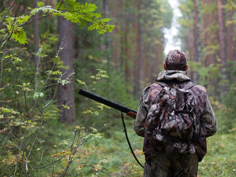 Задержаны браконьеры, напавшие на охотинспекторов в Акмолинской области  