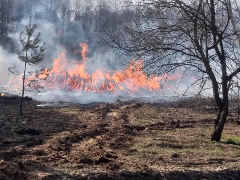 Пожары в Чернобыльской зоне до сих пор не потушены  