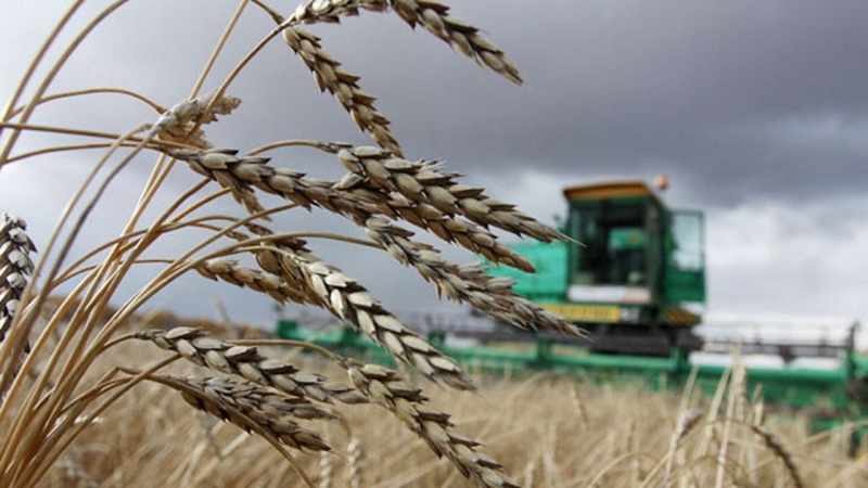 В Казахстане 3% посевов находятся в неудовлеторительном состоянии   
