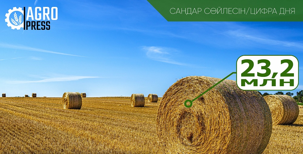 Выполнен ли план по заготовке сена в Казахстане