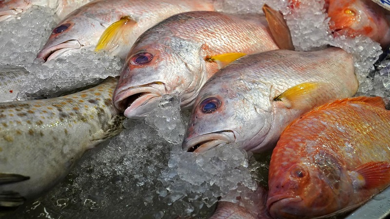 Казахстан экспортирует 30 тысяч тонн рыбы ежегодно  