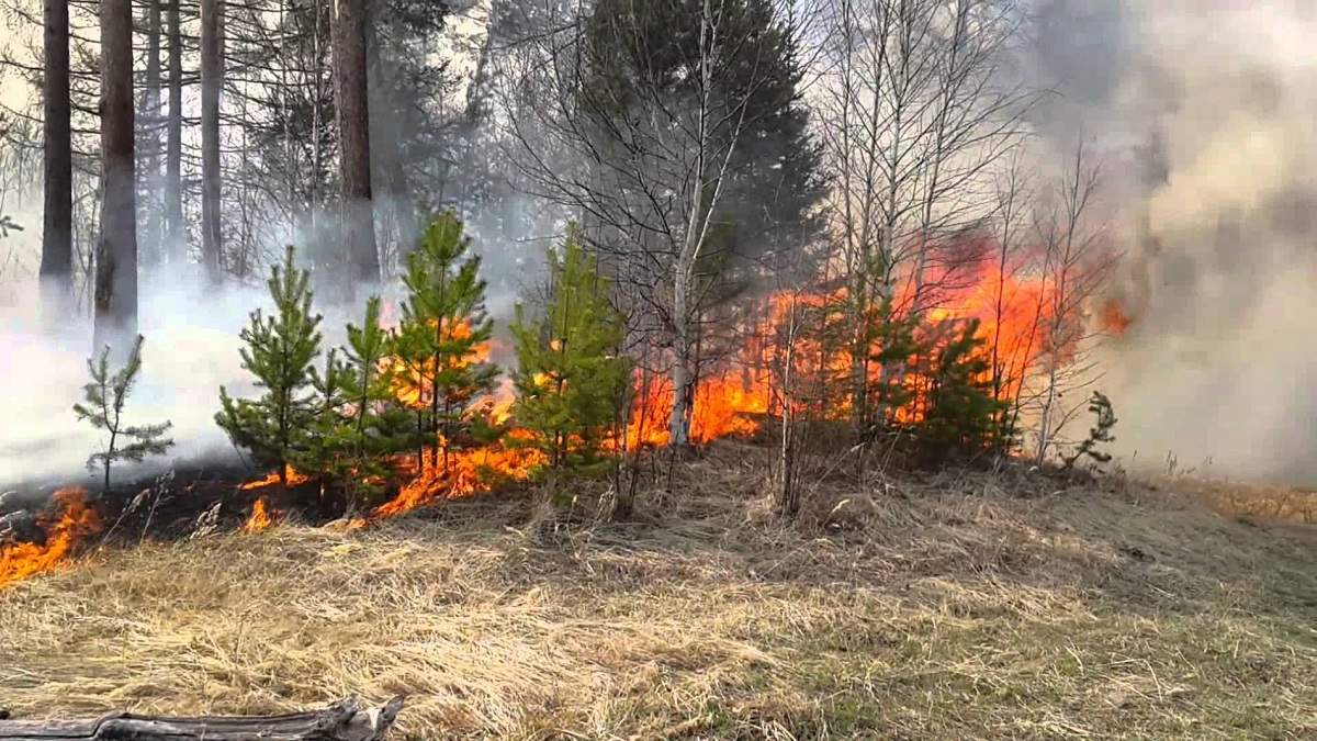 В Северо-Казахстанской области растет число  пожаров  