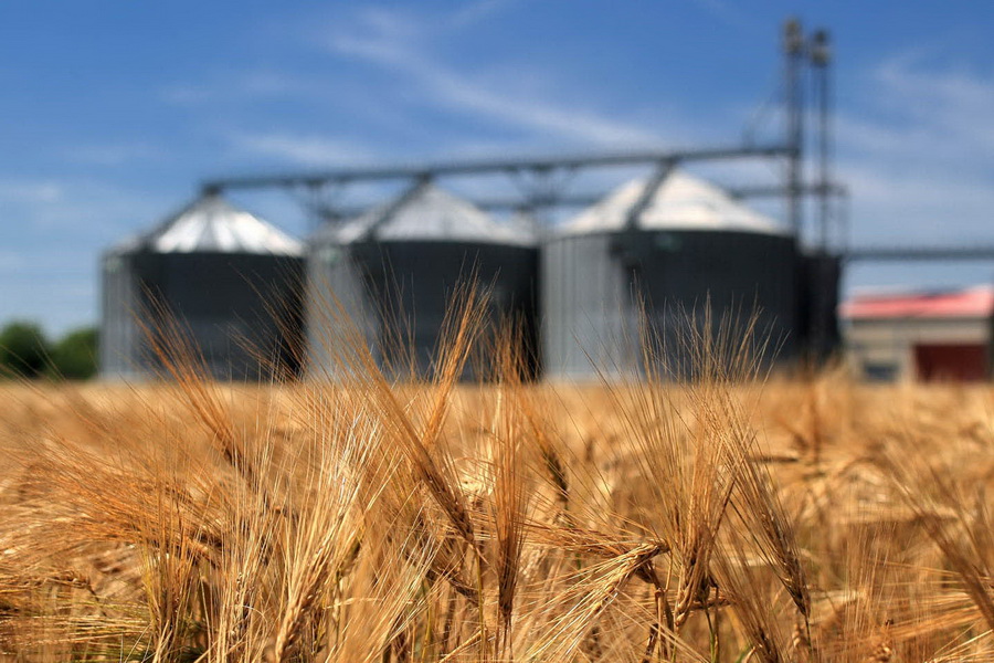 На бирже ЕТС реализовано 5000 тонн пшеницы