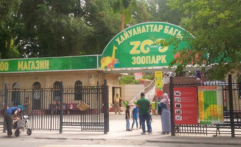 В Алматинском зоопарке собирают средства для открытия ветклиники   
