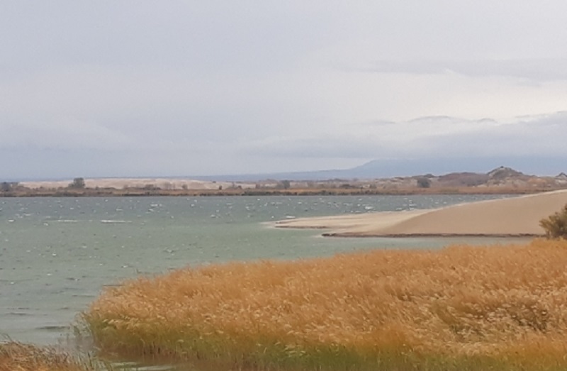Токаев призвал международное сообщество помочь Казахстану восстановить баланс рек и озер   