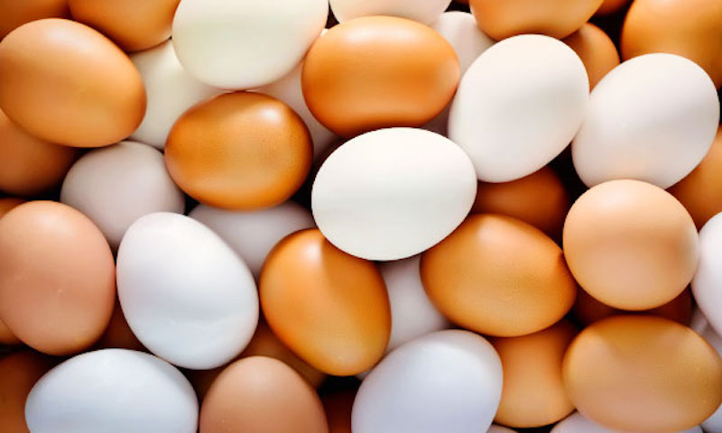 "Золотые яйца": десяток за 500 тенге продают на севере страны  