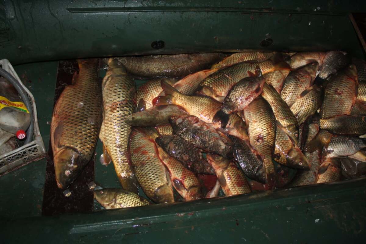В Казахстане у браконьера изъяли 100 кг рыбы 