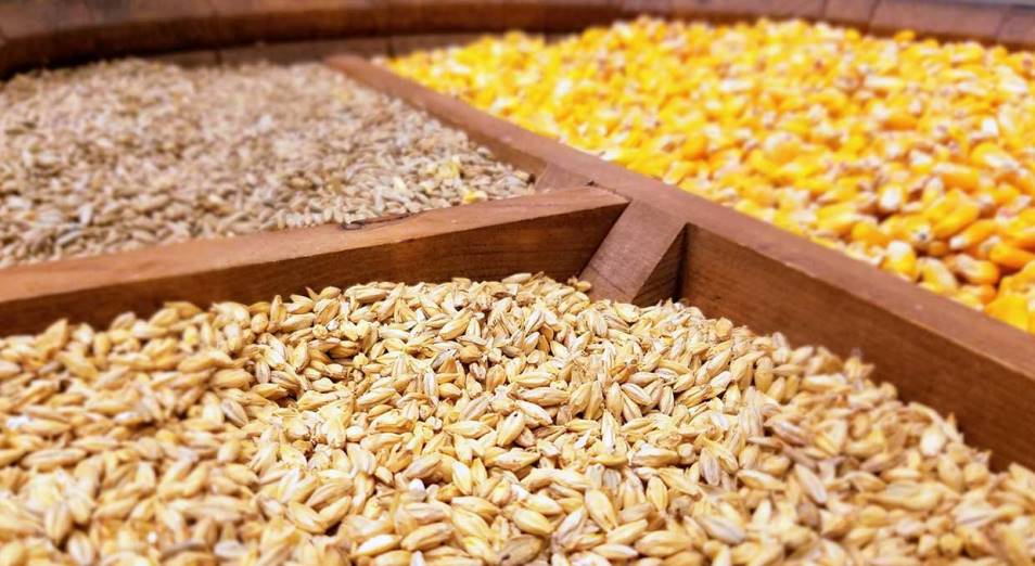 МСХ обещает дать больше времени на прием заявок по отгрузке зерна на май