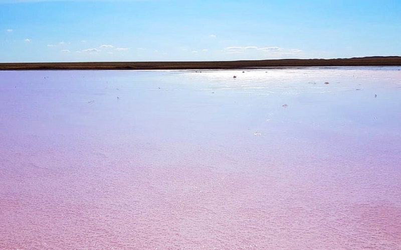 Запретили посещение "розового озера" близ Нур-Султана  